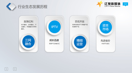 正定论道 | 辽视新媒体马梓尧 巧用天时，构新生态，聚焦产业变革，数字文化创意内容应用服务